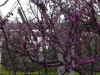 ̫�O�²����O(sh��)�乫˾���쾰ɫ